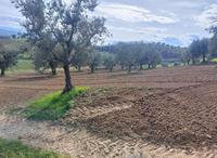 Appezzamento di terreno agricolo di ha 0,4270. Dati...