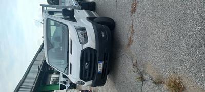 UN AUTOCARRO FORD TELAIO WF0AXXTTRAPM25005, TARGA GW300XT, IMMATRICOLATO NEL NOVEMBRE 2024, KW 95,60, IBRIDO GASOLIO/ELETTRICO, CASSONE RIBALTABILE, CILINDRATA 1995, KM AL RITIRO CIRCA 25.821. PARAURTI POSTERIORE DANNEGGIATO E GLI STOP COMPLETAMENTE ROTTI. CON DUE CHIAVI E CON LIBRETTO.  
