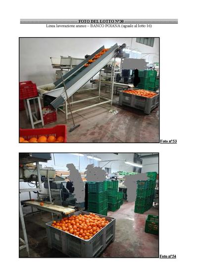 LINEA LAVORAZIONE arance – BANCO POIANA (lotto 30 perizia n.2)