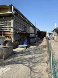Capannone a destinazione industriale a forma...