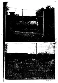 TERRENO AGRICOLO HA 1.19.25