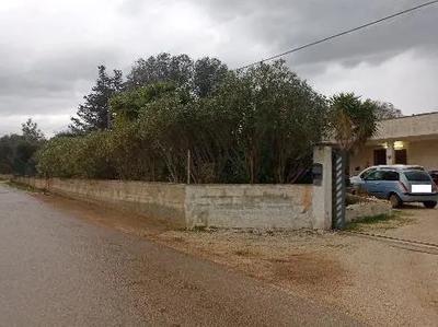 Diritto di enfiteusi di lotto in agro di Francavilla Fontana (BR) alla C.da Palmarino s.n. composto da due abitazioni e terreno di pertinenza.