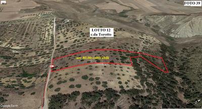 Terreno agricolo (lotto 12)