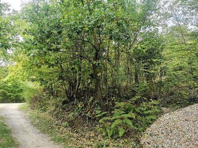 Piena proprietà di vari appezzamenti di terreno agricolo e boschivo, per...