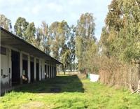 Diritto di piena proprietà di un complesso industriale...