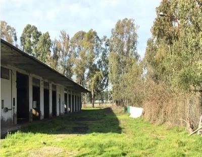 Diritto di piena proprietà di un complesso industriale dismesso insistente su una superficie di oltre venticinque ettari, di cui mq. 107.610 soggetti a cambio di destinazione d’uso urbanistica da industriale in complesso per attività produttive e servizi, su cui è possibile realizzare una volumetria complessiva di mc. 301.567 circa, mq. 46.600 destinati ad area boscata vincolata e mq. 95.903 a terreno agricolo.