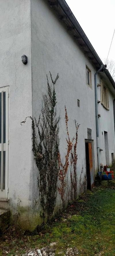 Abitazione di tipo economico costituito da più locali non direttamente collegati tra loro, posti in parte al piano terra ed in parte al piano primo. Il bene risulta indiviso rispetto ai locali della restante parte del fabbricato posti sullo stesso piano. L’accesso alla corte, e quindi, all’immobile oggetto di procedura attualmente avviene attraverso immobili non pignorati. La corte stessa risulta gravata da una servitù di passaggio