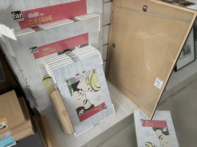 18 - CORNICI, TREPPIEDI E ATTREZZATURE VARIE PER FOTOGRAFIA