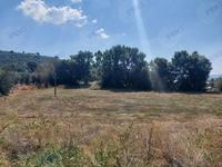 Lotto 8 - Terreno agricolo seminativo sito in Comune di...