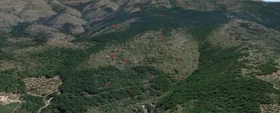 TERRENO ULIVETO SITO NEL COMUNE DI CORENO AUSONIO (FR), IN LOCALITÀ RUSSI, foglio 11 part. 24-65