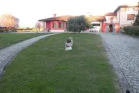 Trattasi di abitazione unifamiliare disposta su un unico...