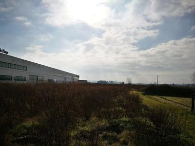 Terreno edificabile ubicato a Bientina (PI) - Via Leonardo Fibonacci appezzamento di terreno seminativo arborato che al momento del sopralluogo si presentava incolto e con vegetazione in crescita spontane situato in zona Pratogrande con accesso direttamente dalla viabilità pubblica.