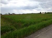 LOTTO SECONDO: Terreno agricolo limitrofo alla strada...