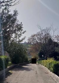 Appartamento residenziale posto al secondo piano di un...