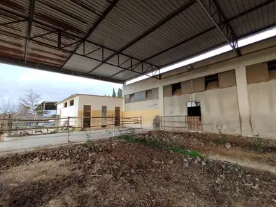 Il lotto si compone di due immobili: A - Piena proprietà per la quota di 1000/1000 di fabbricato in Alessano (Le), Contrada Caracci.B - Piena proprietà per la quota di 1000/1000 di terreno agricolo sito in Alessano (Le), Contrada Caracci, superficie complessiva di circa mq. 10.423.