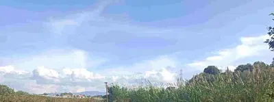 Intera proprietà di un fondo agricolo catastalmente identificato al N.C.T.  al F. 17. p.lla 310 AA Uliveto cl 2, ha 00.08.00, AB Agrumeto cl 1, ha 00.00.85; p.lla 325 Agrumeto cl 2, ha 00.22.40; p.lla 328 AA Agrumeto cl 1, ha 00.28.07, AB Serra cl U, ha 00.22.53; p.lla 333 Agrumeto cl 3, ha 00.01.10; p.lla 185 AA Frutt. Irriguo cl U, ha 00.05.47 AB Agrumeto cl 1, ha 00.01.33