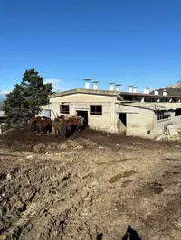 Unità immobiliare intera piano S1-T, suddivisa in...