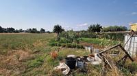 Diritti pari all’intero della piena proprietà su...