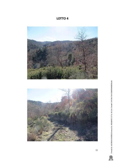 Lotto 4 Diritto di piena proprietà per l’intero di alcuni appezzamenti di terreno ad uso agricolo siti in Comune di Monte San Savino (AR), Loc Verniana , via La Costa snc, ed individuati nel Regolamento Urbanistico del Comune di Monte San Savino all’interno della Zona “E1 – il sistema del bosco e degli oliveti terrazzati