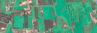 Azienda formata da un complesso immobiliare e mobiliare costituente centro di raccolta, conferimento e commercio  granaglie e sementi vari. Il complesso aziendale si estende su un’area di circa 9.500 mq.  Si compone di:  A) Fabbricato servizi ausiliari e impianto pesa a ponte B) Impianto stoccaggio e commercializzazione granaglie C) Deposito prodotti agricoli D) Fabbricato uso residenziale E) Piazzale corte comune unità immobiliari F) Terreno adibito a piazzale G) Beni mobili strumentali H) Terreno agricolo