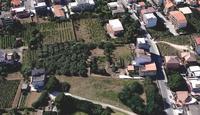 Terreno sito piantumato principalmente con alberi di...