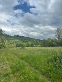 TERRENI DELLA SUPERIFICIE COMPLESSIVA PARI A 8.760 MQ...