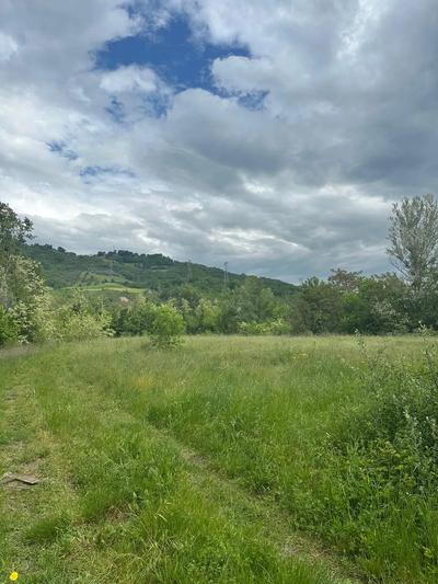 TERRENI DELLA SUPERIFICIE COMPLESSIVA PARI A 8.760 MQ AVENTI CAPACITA' EDIFICATORIA COME DA STRUMENTI URBANISTICI DEL COMUNE DI MONTORIO AL VOMANO