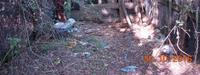 Terreni vari siti a FOLLO Via 2 Giugno, frazione Sorbolo...