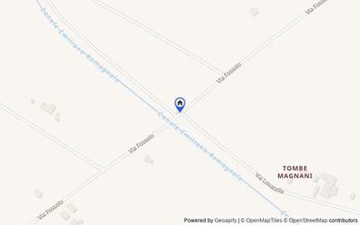 Mappa della zona: Via Fossolo, 48018, Faenza, Ravenna