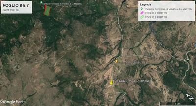 Lotto 3: TERRENO - Comune di Luras