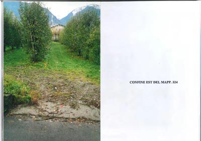 TERRENI IN TEGLIO (SO) Catasto terreni – Teglio (SO): Terreni in proprietà per il 100%:  - Foglio 109, mapp. 494, bosco ceduo, cl. 4, superficie mq 540, R.D.€ 0,50, R.A. € 0,03; - Foglio 109, mapp. 452, prato irriguo, cl. 2, superficie mq 3.480, R.D.€ 17,97, R.A. € 13,48; Terreno di proprietà per la quota di ½: - Foglio 111, mapp. 371, cast frutto, cl. 2, superficie mq 240, R.D.€ 0,25, R.A. € 0,11 - Foglio 111, mapp. 372, fabbricato rurale, superficie mq 32