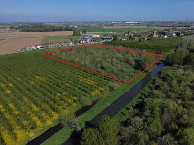 Piena proprietà di terreni agricoli lungo Strada Provinciale n 2 “Legnaghese”, in unico appezzamento di forma rettangolare compreso, sui lati nord-est e sud-ovest, tra 2 bracci del fiume Menago, sviluppa una lunghezza di circa 200 ml, perpendicolarmente ai corsi d’acqua, con accesso dalla Via San Zeno, in prossimità del civ 82 (sul lato opposto della strada), dopo avere attraversato il fiume grazie a un ponticello in cemento armato e avere percorso uno stradello che insiste su proprietà di terzi