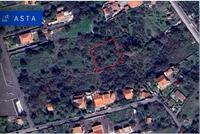 Terreno situato nel Comune di Pedara (CT), in Contrada...