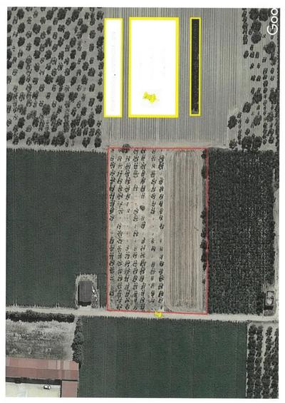 terreno agricolo sito nel Comune di Orta Nova (FG), in località Torre Giordano, distinto al Catasto Terreni al foglio 42, particella 225, catastalmente seminativo irriguo ma  di fatto uliveto dell'estenzione di ha  00.37.68 .