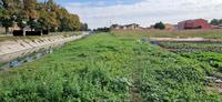 Piena proprietà per la quota di 1/1 relativa a terreno...