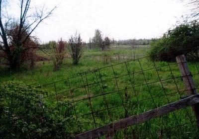 Lotto 3) Piena ed esclusiva proprietà di appezzamento di terreno a Nonantola...