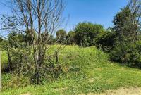 Terreni agricoli a Megliadino San Vitale (PD) - Vendita n.32941