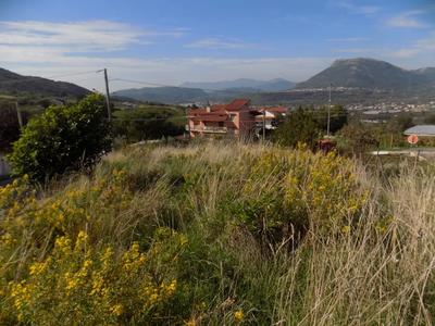 Piena proprietà del terreno tenuto a prato verde incolto sito in Giffoni Valle Piana (SA) al margine della strada Provinciale Ornito Faiano