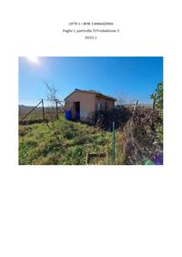Casa colonica di antica costruzione su due livelli, con...