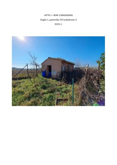 Casa colonica di antica costruzione su due livelli, con locali di servizio al piano terra, e l'abitazione al piano primo, composta da disimpegno, cucina, due ripostigli, due bagni, un locale wc, tre camere da letto, oltre a giardino a comune, per una sup. conv. complessiva di 383,90 mq. Fa parte del lotto un'autorimessa di sup. lorda di 76 mq posta al piano terra, un magazzino di sup. lorda di 21 mq e due locali ad uso magazzino di sup. lorda di 14 mq, posti nel giardino e un terrendo agricolo di 1.910 mq.