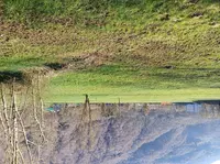 Quota 1/24 di terreno agricolo a Primaluna (LC),...