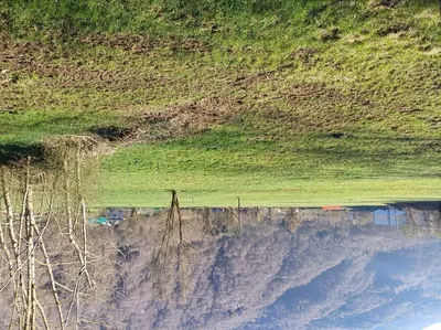 Quota 1/24 di terreno agricolo a Primaluna (LC), località Cortabbio, via Fregera - LOTTO 3 - vendita telematica sulla piattaforma www.gobidreal.it n.32760.3