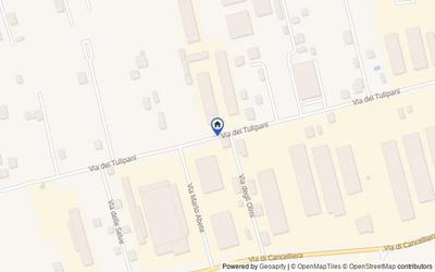 Mappa della zona: Via dei Tulipani , 00041, Albano Laziale, Roma