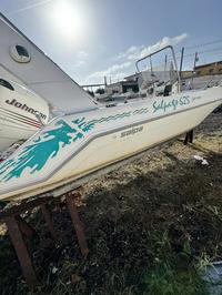 Imbarcazione modello Open marca Revenger marca Salpa...