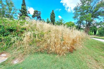 Terreno agricolo a Meldola (FC), via Indipendenza. Prima periferia collinare ben servita. Frustolo vicino strada, non recintato, in leggera pendenza. Trasformabile a verde collettivo e area gioco attrezzata per le vicine abitazioni. Superficie catastale di 904 mq. Condizioni discrete Per maggiori informazioni visitare il portale www.quimmo.it - Codice annuncio 2639454