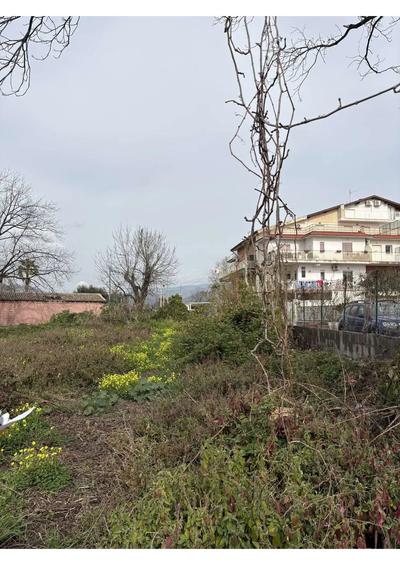 Piena proprietà dell’esecutata di un’area urbana e piena proprietà dell’esecutata di n. 11 particelle di terreno