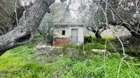 Diritto di proprietà per ½ (un mezzo)di unità...