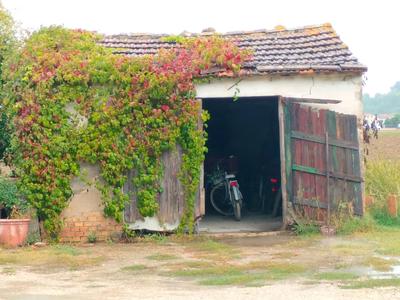 Diritti pari ad 1/1 di proprietà di immobile sito nel Comune di Sant’Elpidio a Mare, località Bivio Cascinare, Via Guido Rossa n.420, censito al Catasto Fabbricati del Comune di Sant’Elpidio a Mare al Foglio 8, particella 14, sub 5, categoria C/6, classe 3,rendita catastale Euro 61,46.L’immobile è costituito da annesso uso garage posto al piano terra ed ha una consistenza catastale di 34 mq.