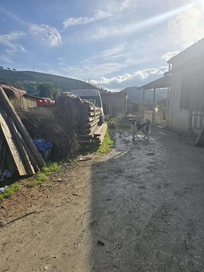 Piena proprietà per la quota di 1/1 di un Fabbricato unifamiliare con...