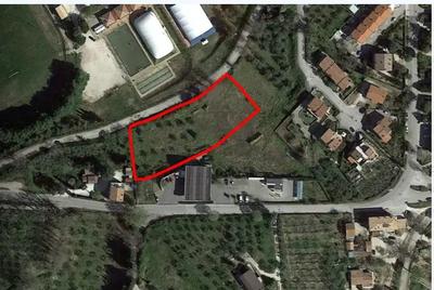 Terreno edificabile di 3756 mq, sito in Montefalco (PG), SP 445. Le unità di...